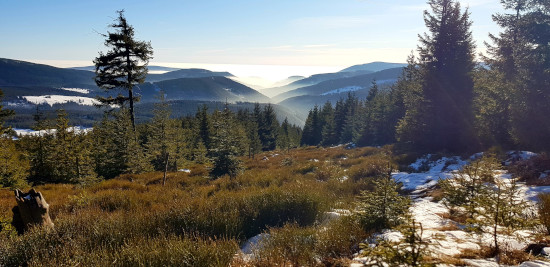 Apartmán Cardovi - Kralický sněžník